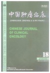 摘自《中国肿瘤临床》2006年第33卷第18期1058-1060页