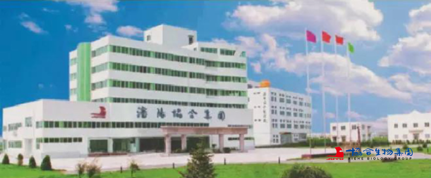协合生物集团的发展堪称民营高科技企业成功典范