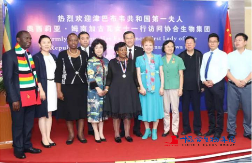 奥西莉亚·姆南加古瓦女士，辽宁省外事（侨务）办公室副主任刘天雨，东北亚文化经济促进会会长、原辽宁大学校长冯玉忠教授，中非总商会副会长刘萍女士，协合生物集团董事长陈巨余等在欢迎座谈会上合影。