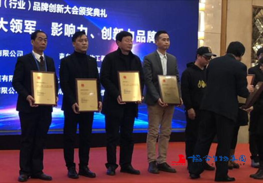 协合集团凭借实力,成功角逐,喜获“2018中国(行业)十大影响力品牌”大奖殊荣。