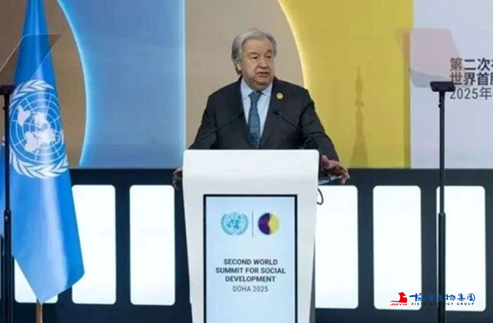 联合国秘书长古特雷斯峰会致辞