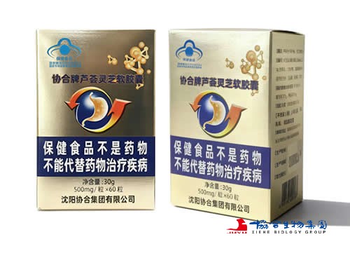 协合牌芦荟灵芝软胶囊