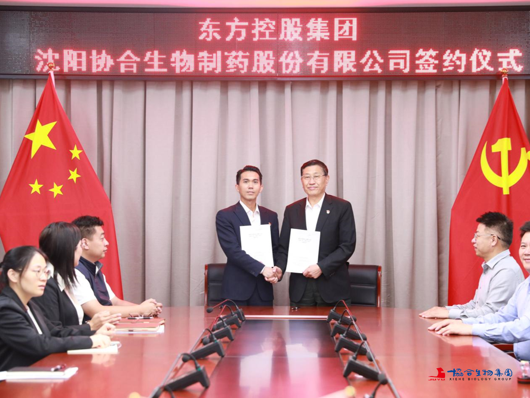 协合集团东方布局