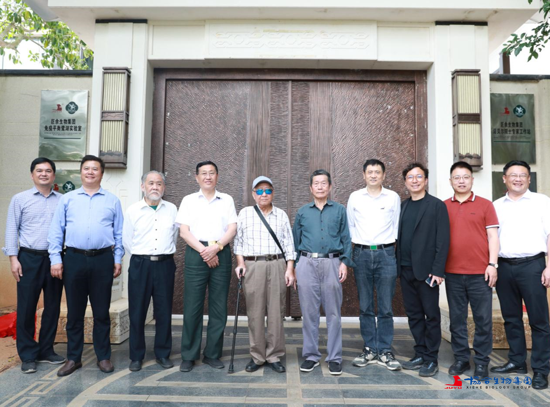 协合集团东方布局